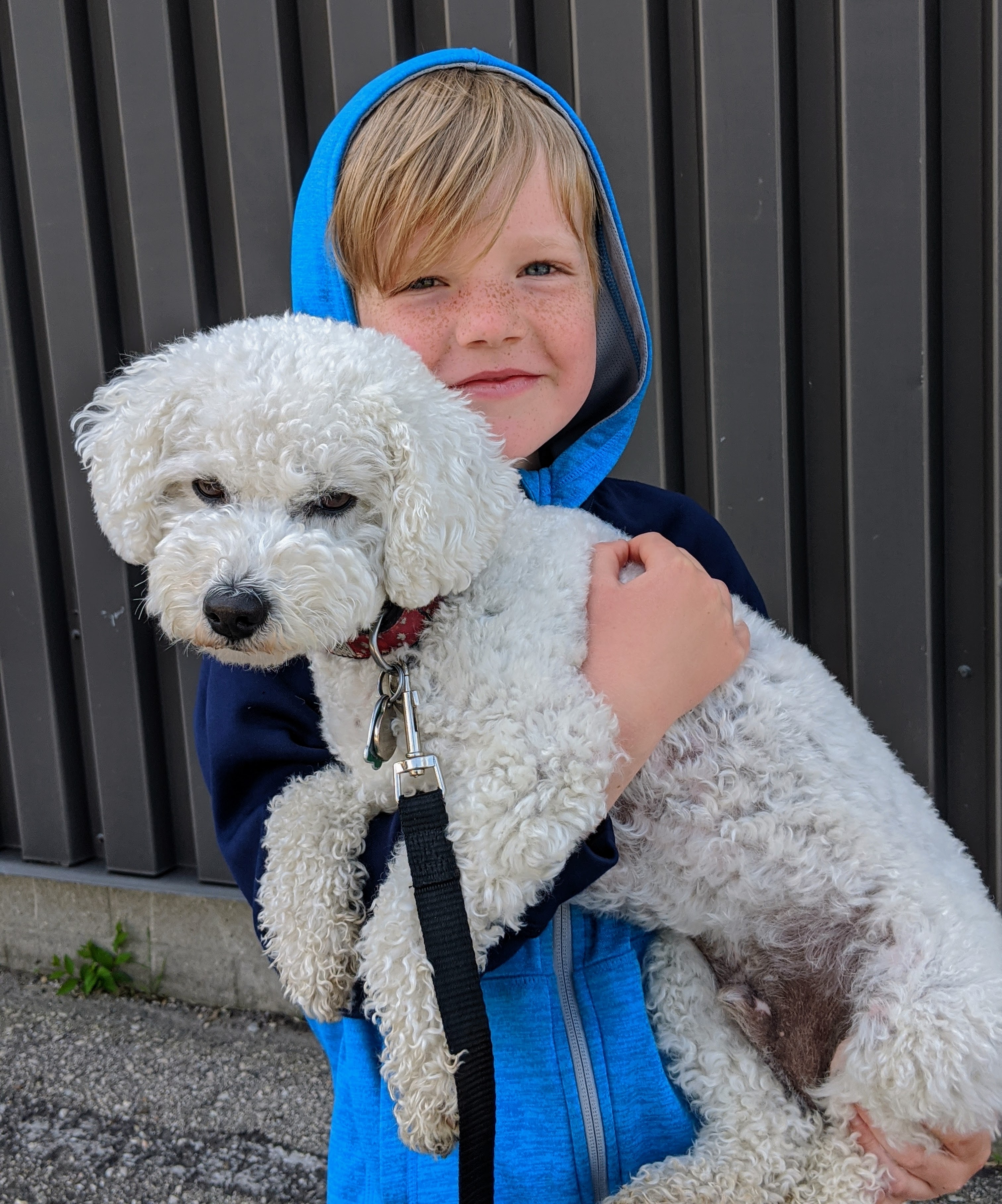 Buddy the dog